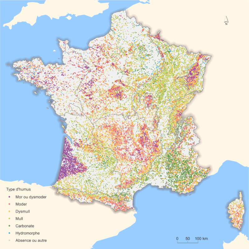 Types d'humus en forêt de production hors peupleraie