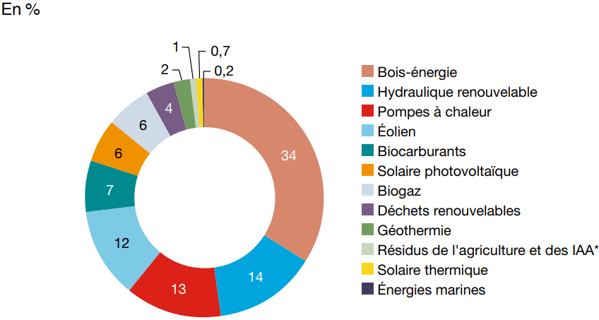 La production primaire d'énergie renouvelable en France